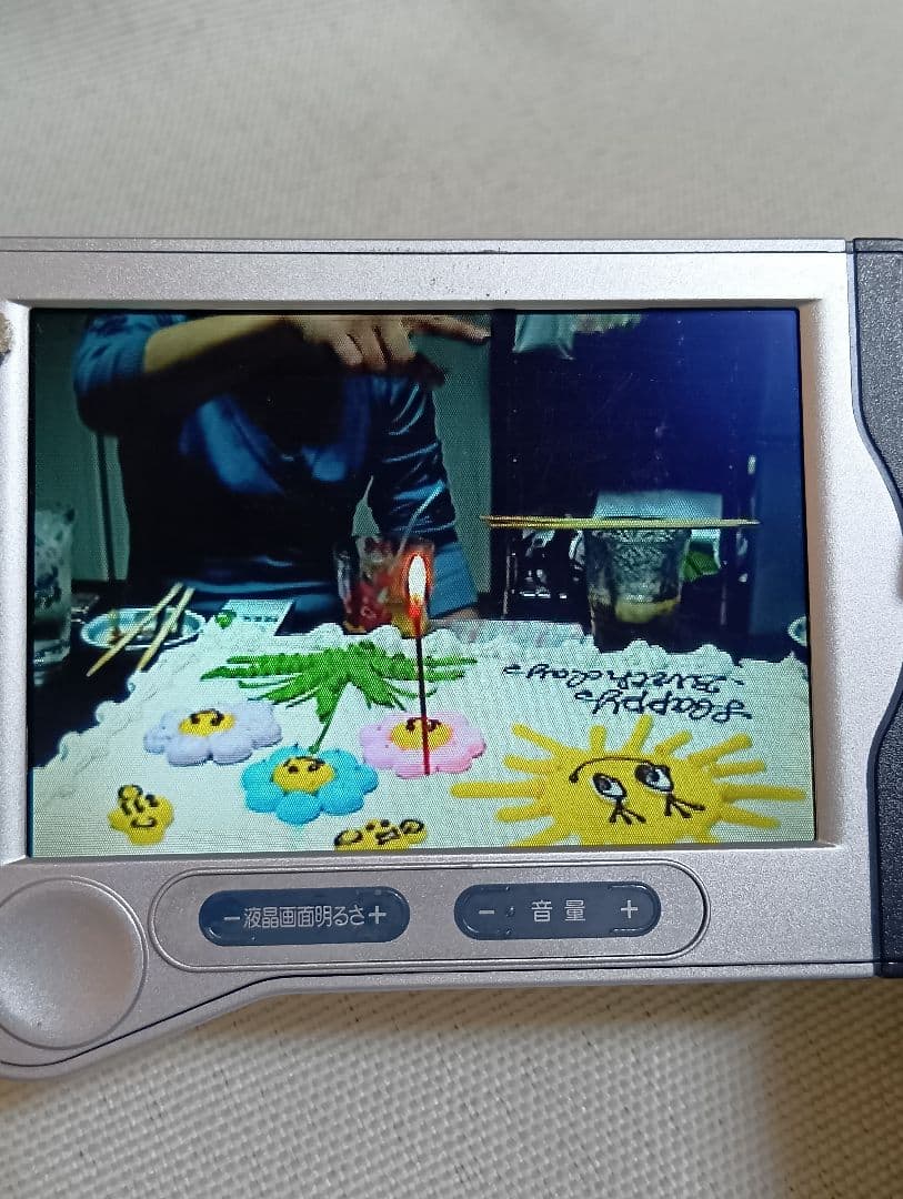 【動作確認済み】ソニー ビデオカメラ　SONY DCR-TRV30