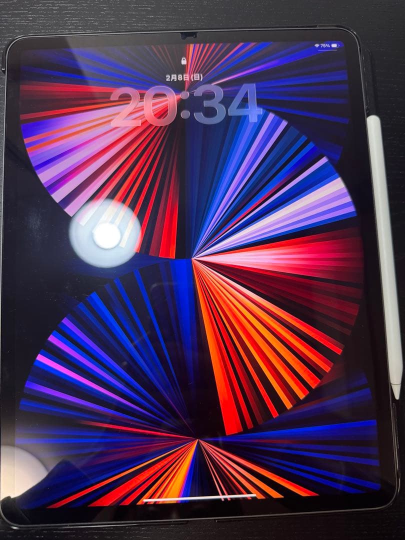 【a】美品 iPad Pro 12.9 5世代 256GB