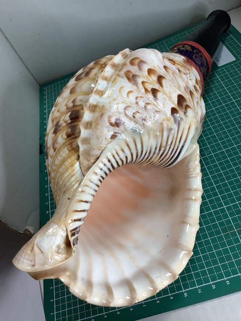 ヤフメリ12・法螺貝・山伏・修験者・金峯山・羽黒山・戦国武将・縁起物・熊除笛