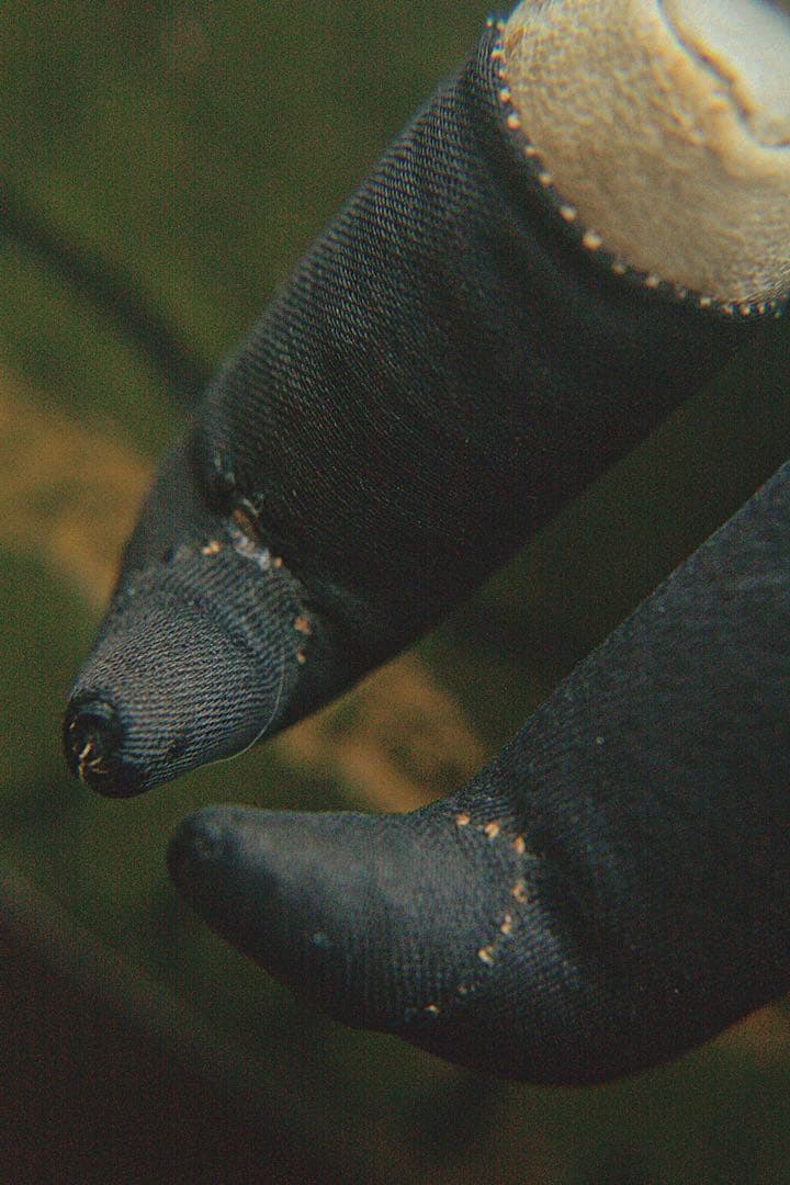 アンティーク チャイナヘッドドール ビスクドール ドイツ人形