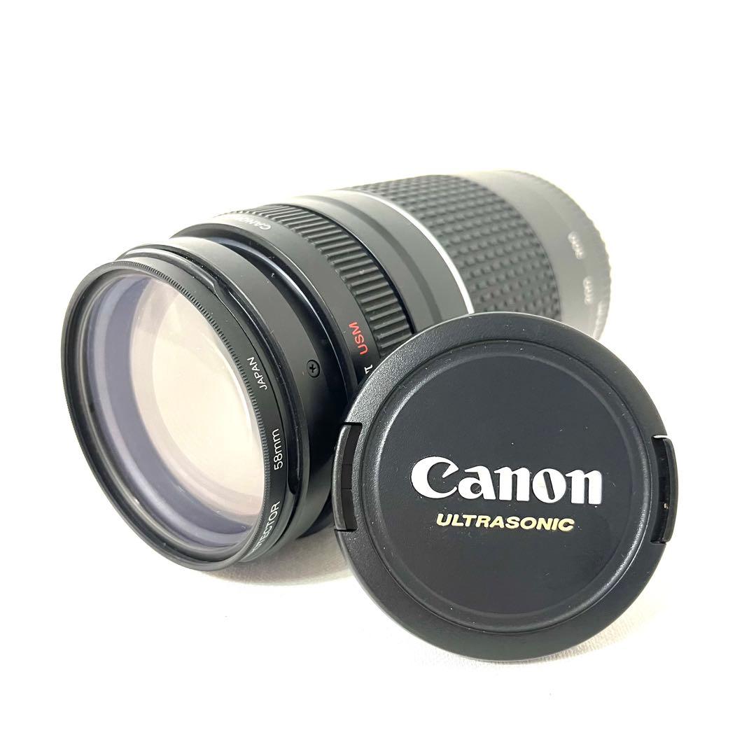 Canon キャノン EF 75-300mm F4-5.6 Ⅲ USM レンズ