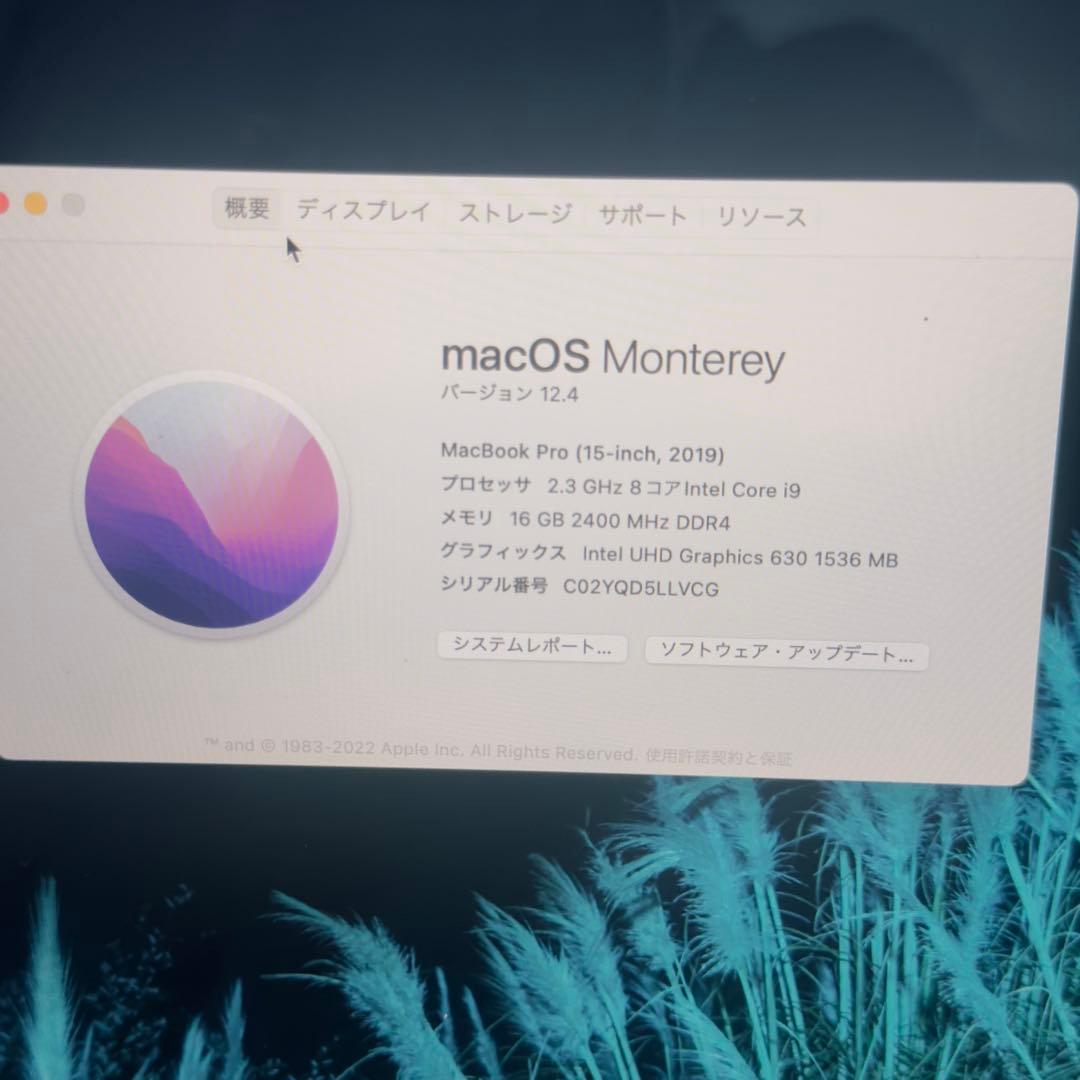 MacBook Pro (15-inch, 2019) 付属品なし
