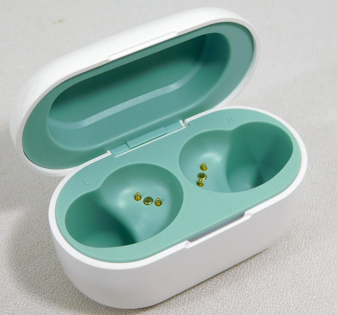 AVIOT×佐藤優樹コラボモデル 完全ワイヤレスイヤホン TE-D01v-MSK