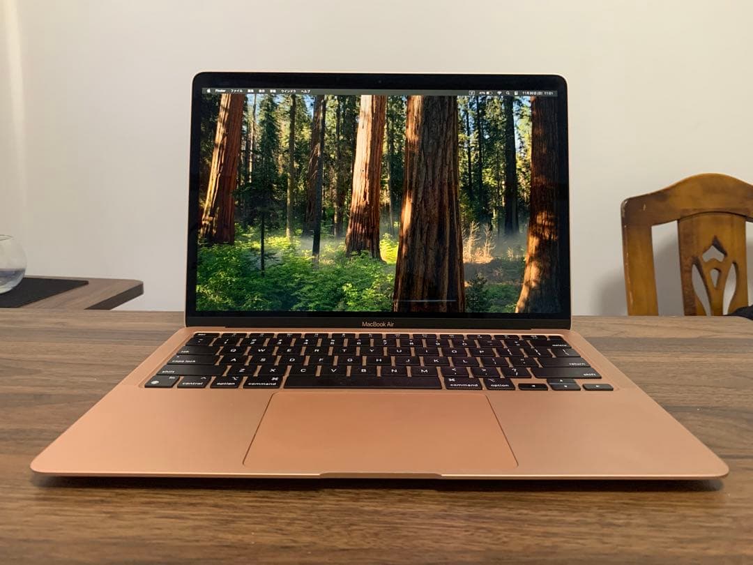 MacBook本体 Apple MacBook Air (M1, 8GB, 256GB)