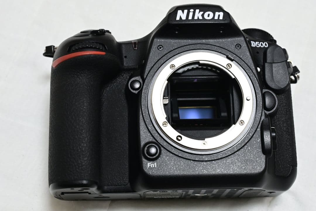 Nikon D500 XQDカード付