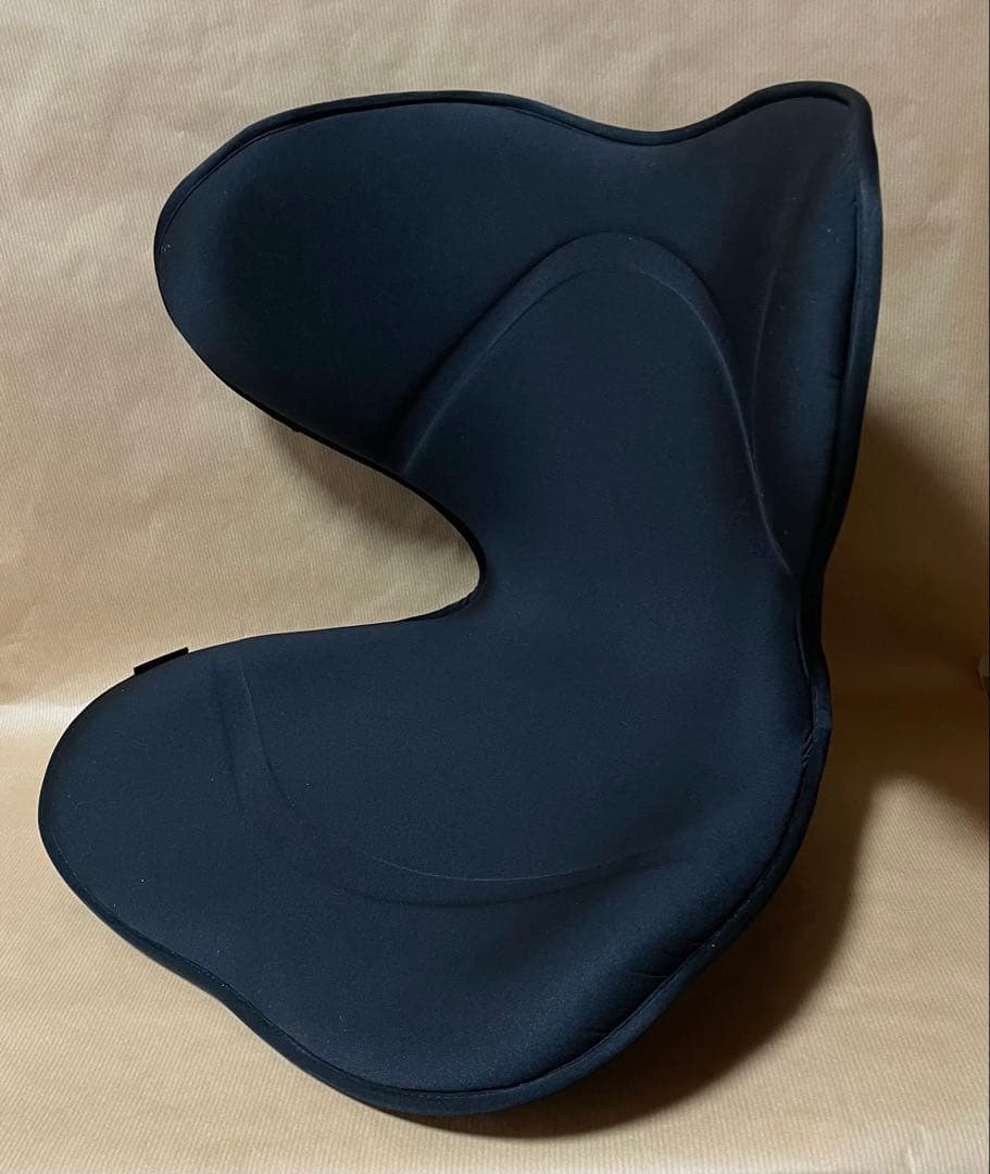 クボ、スタイルスマートブラック、姿勢矯正クッション ブラック2点出品