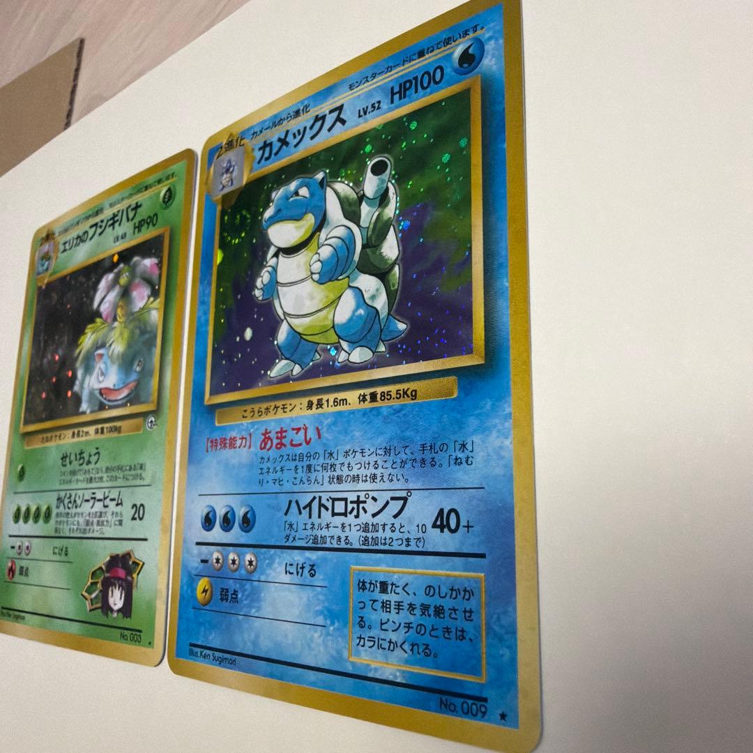 ワタッコ、カメックス、フシギバナ