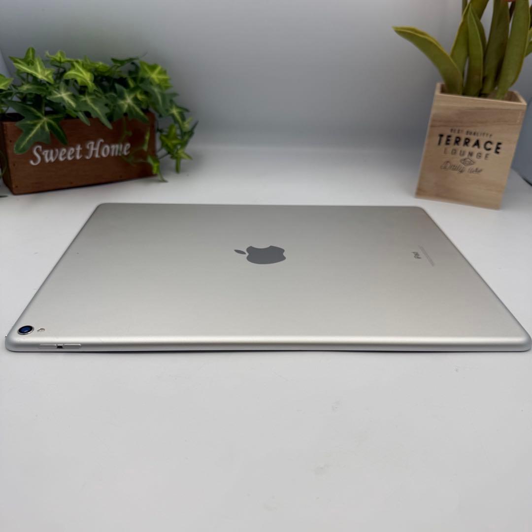 iPad Pro 第2世代 12.9inch Wi-fi 64G BT 100%