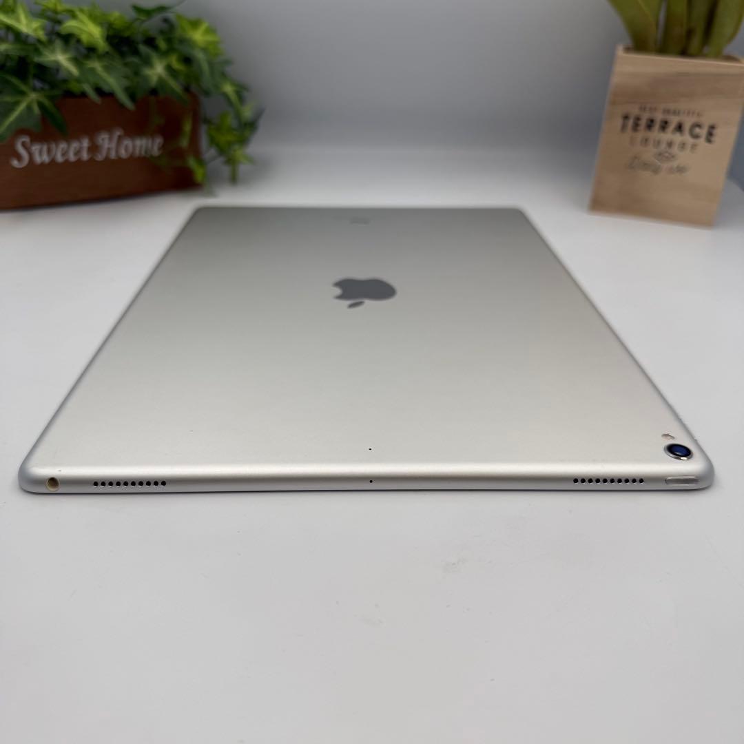 iPad Pro 第2世代 12.9inch Wi-fi 64G BT 100%