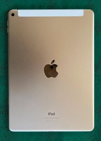 iPad Air2 ゴールド 本体 + キーボードケース(Logicool)