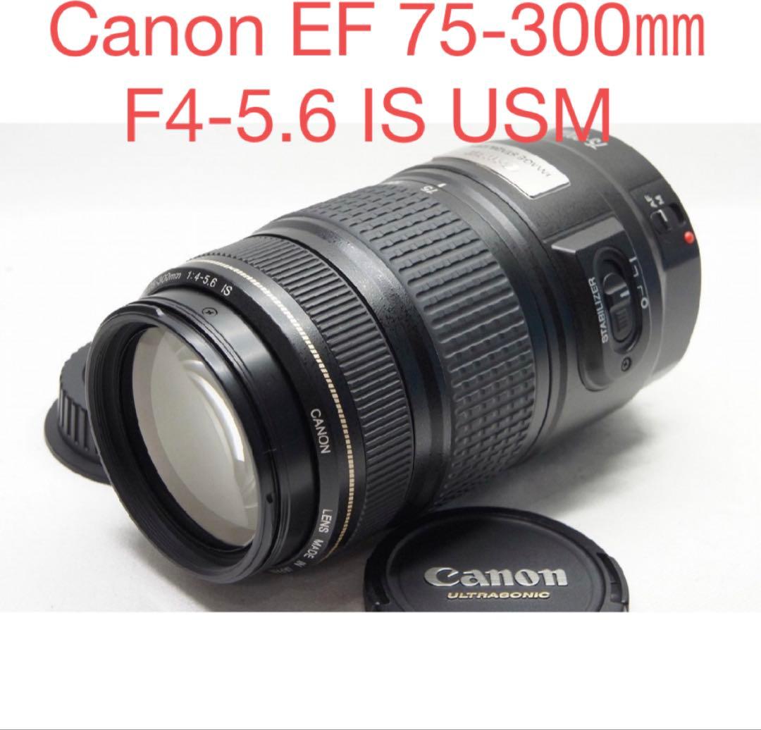 デジタル一眼レフカメラ/手ぶれ補正レンズ/Canon EF 75-300㎜ IS