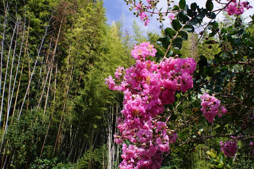 【美品】PENTAX SMC PENTAX 24mm F3.5