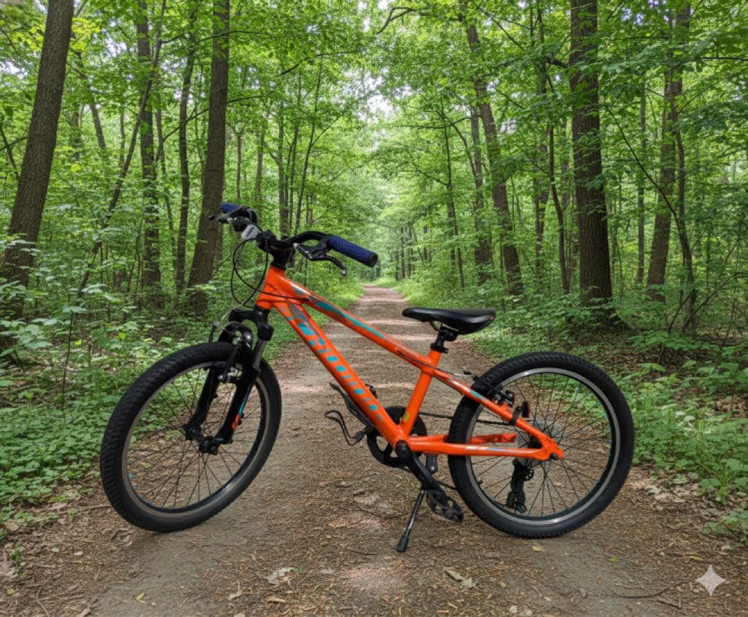 きっしー様用。SCHWINN MTB 「MESA20」20インチ　引き取り限定