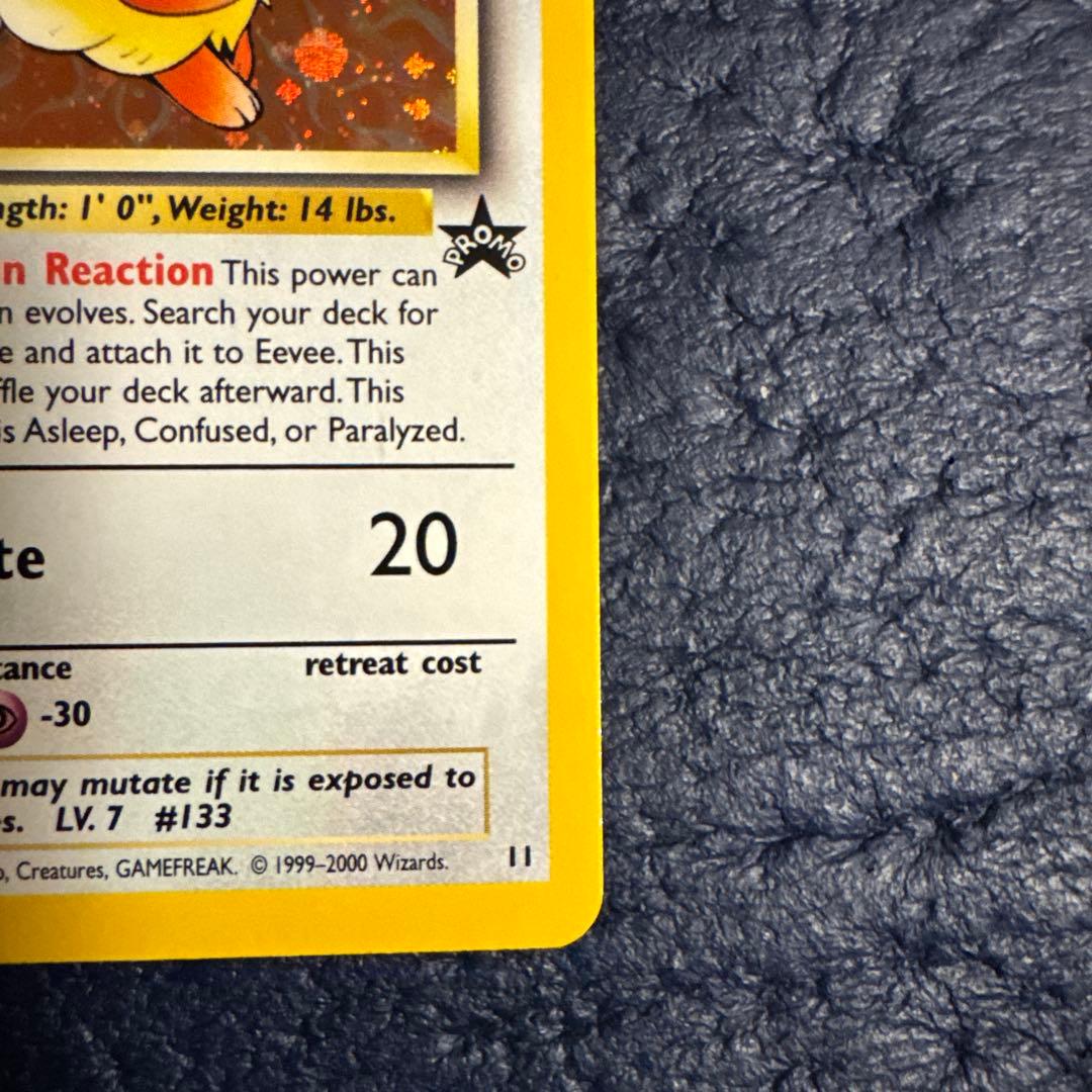 イーブイ　英語版プロモ