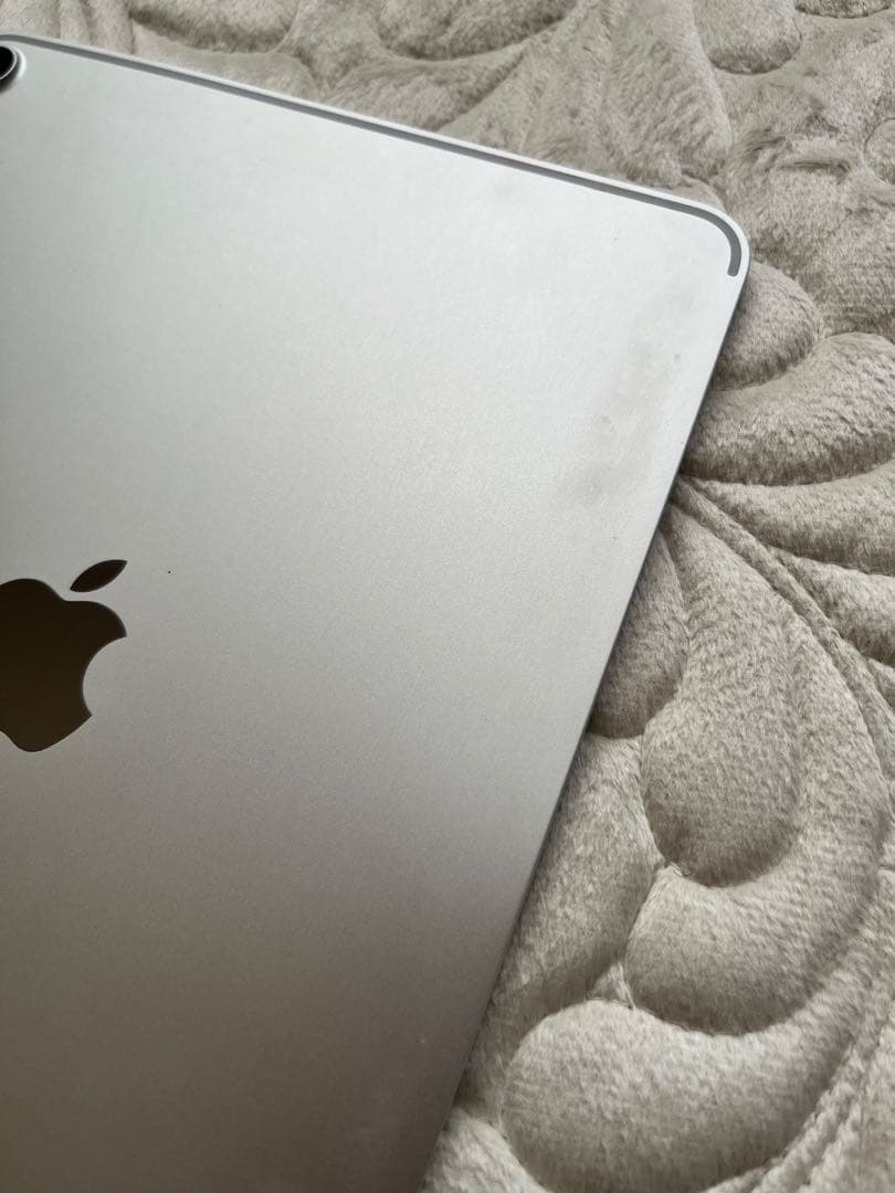 美品iPad Pro 11インチ 256GB Wi-Fiモデル