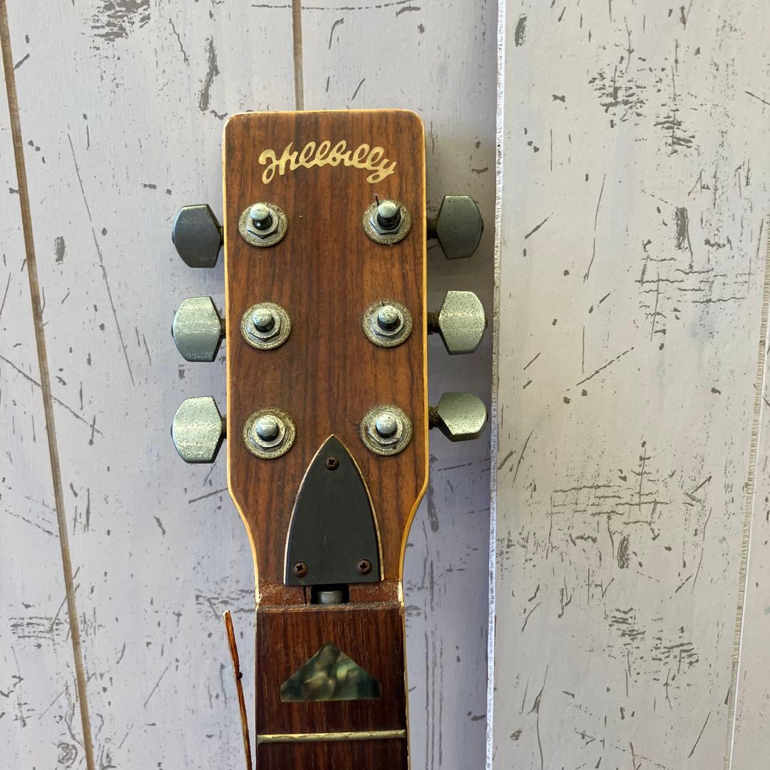 ジャンク品 ヒルビリー Hellbilly W-35 アコースティックギター