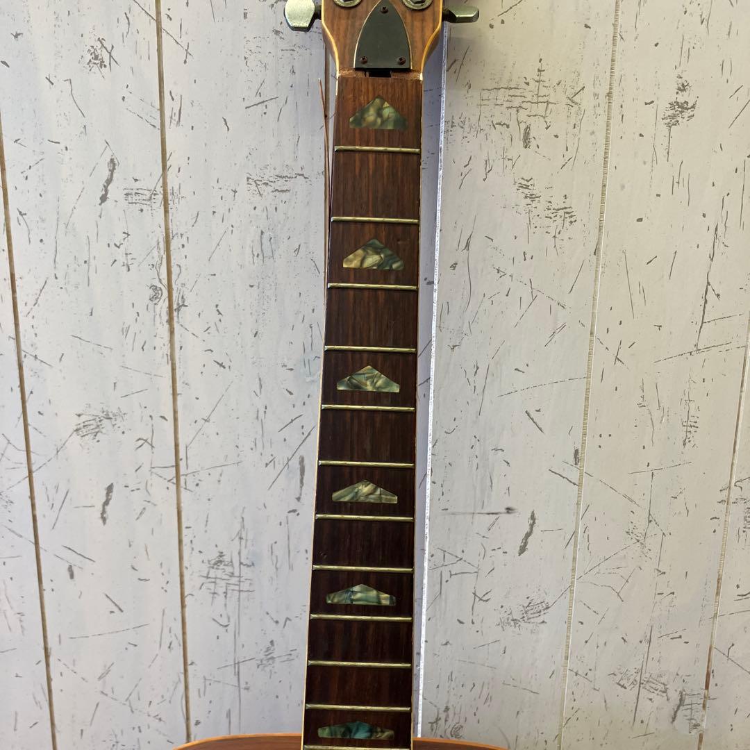 ジャンク品 ヒルビリー Hellbilly W-35 アコースティックギター