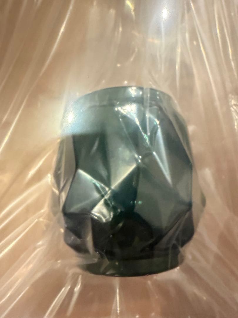 新品未使用 IWATADENKI イワタデンキ　ブルーグリーン限定カラー