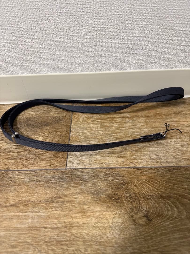 【純正品】iPhone17ProMagsafe対応ケース&クロスボディストラップ