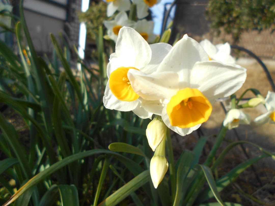 実写美⭕️【動作確認済】 Nikon COOLPIX L32