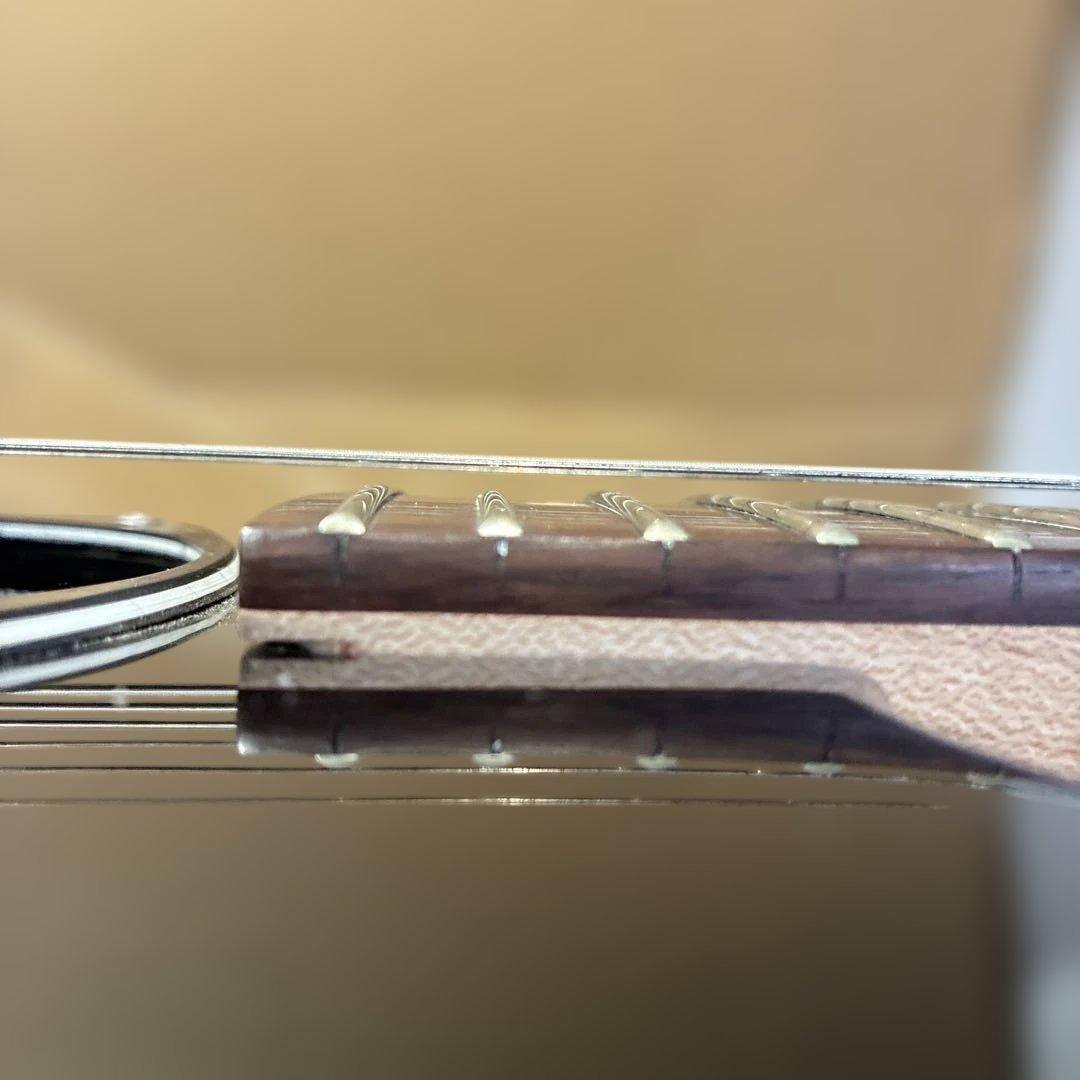 ピグノーズPGG200 ブラック