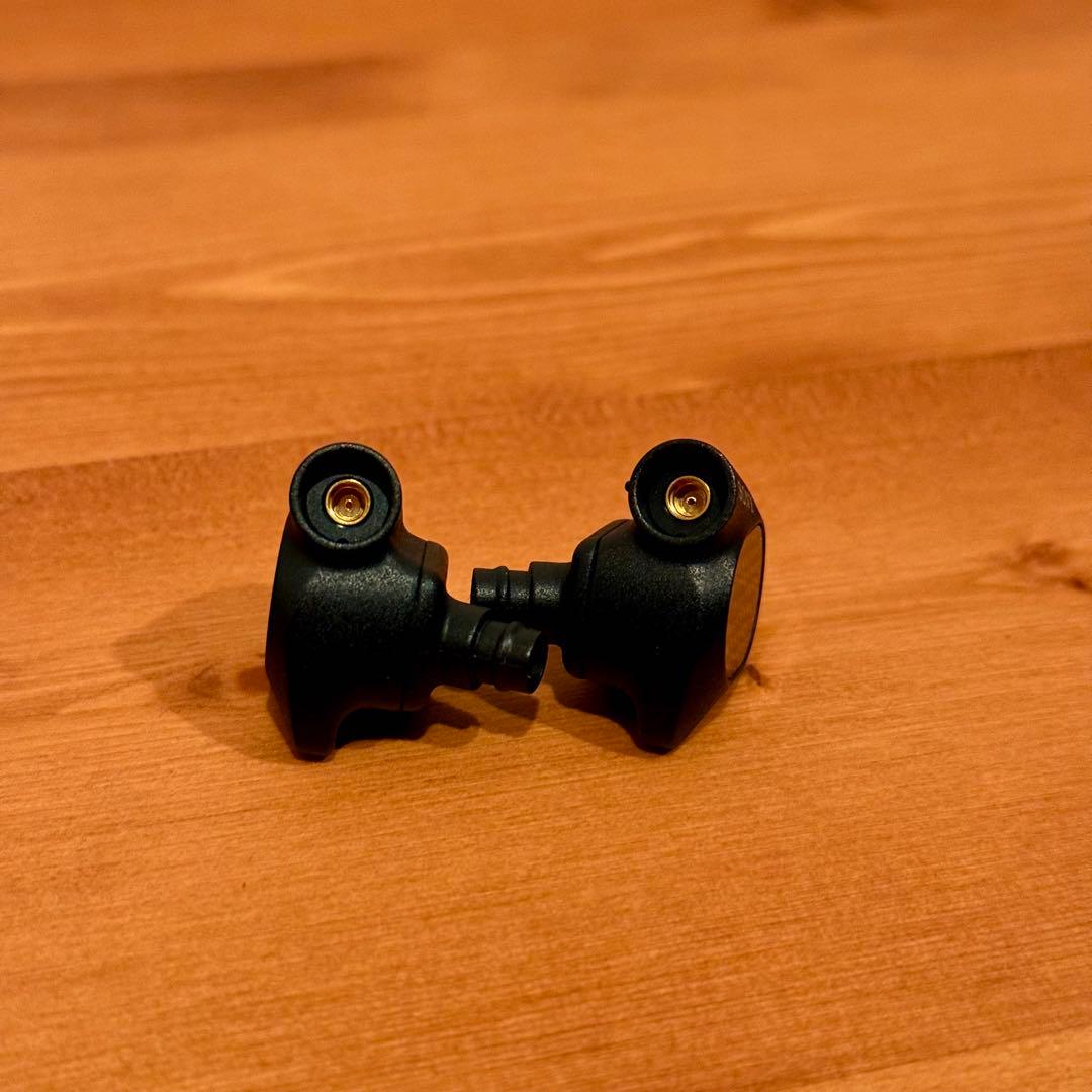 イヤホン SONY IER-M9