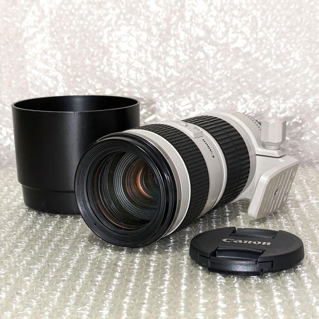 EF 70-200mm F4 L USM Canon 美品 キャノンズームレンズ