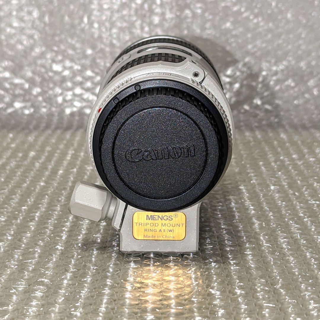 EF 70-200mm F4 L USM Canon 美品 キャノンズームレンズ