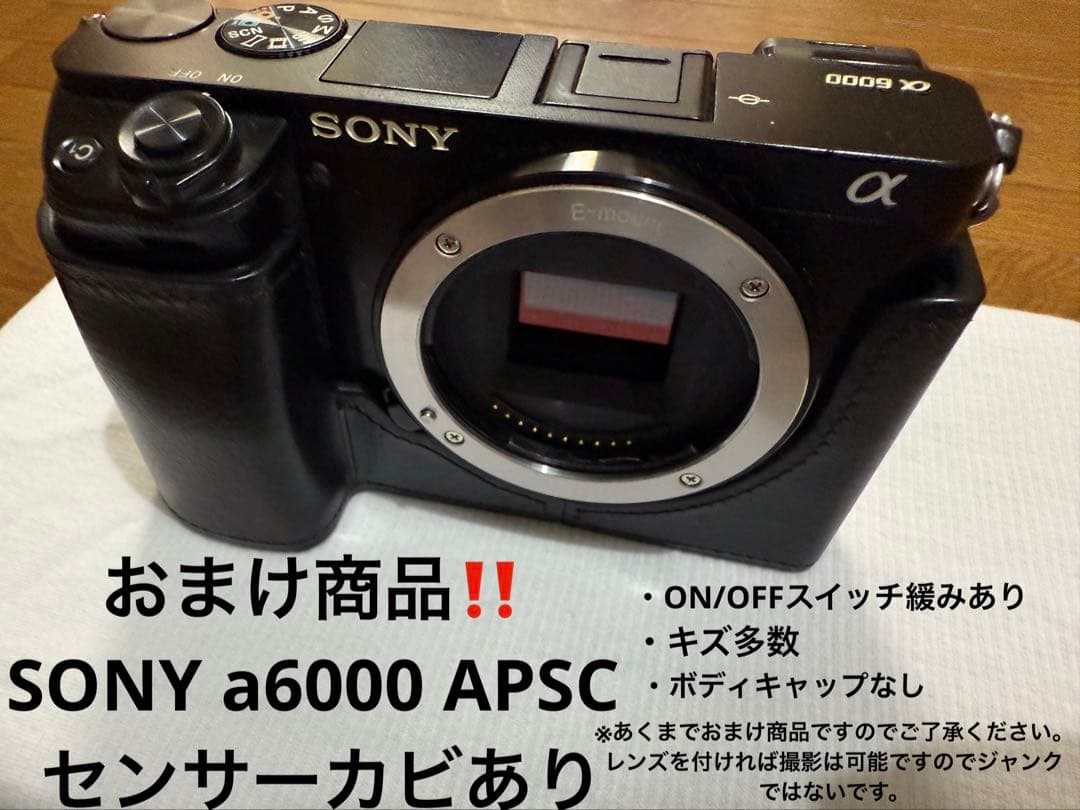 SONY α7 II ミラーレス一眼 本体 おまけ付き‼️