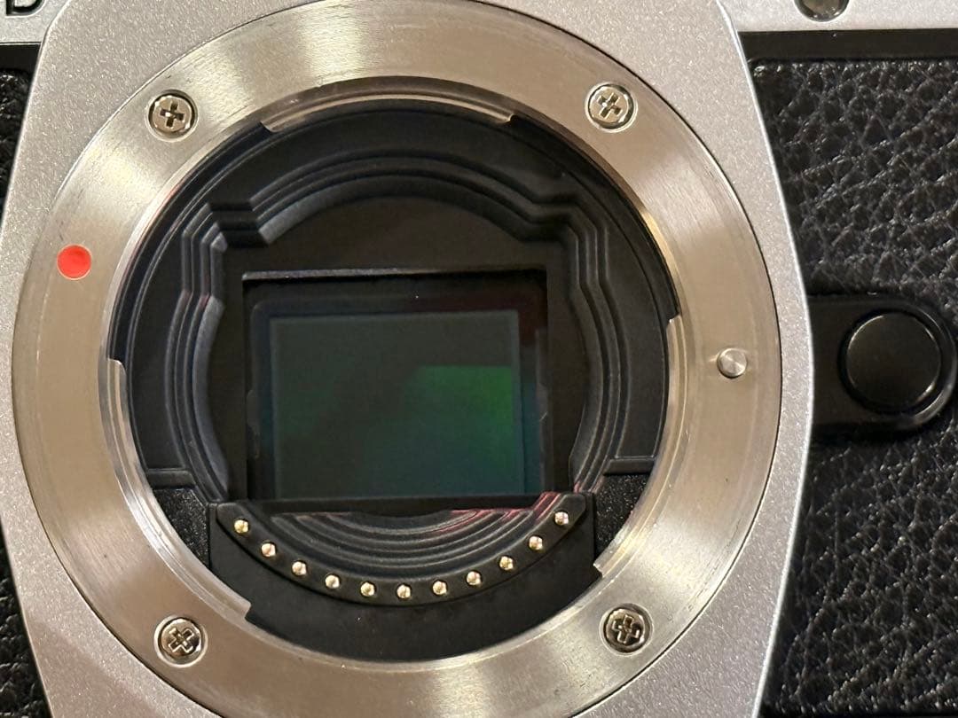 し*ね様 OLYMPUS OM-D E-M5 デジタルカメラ 本体 シルバー　付