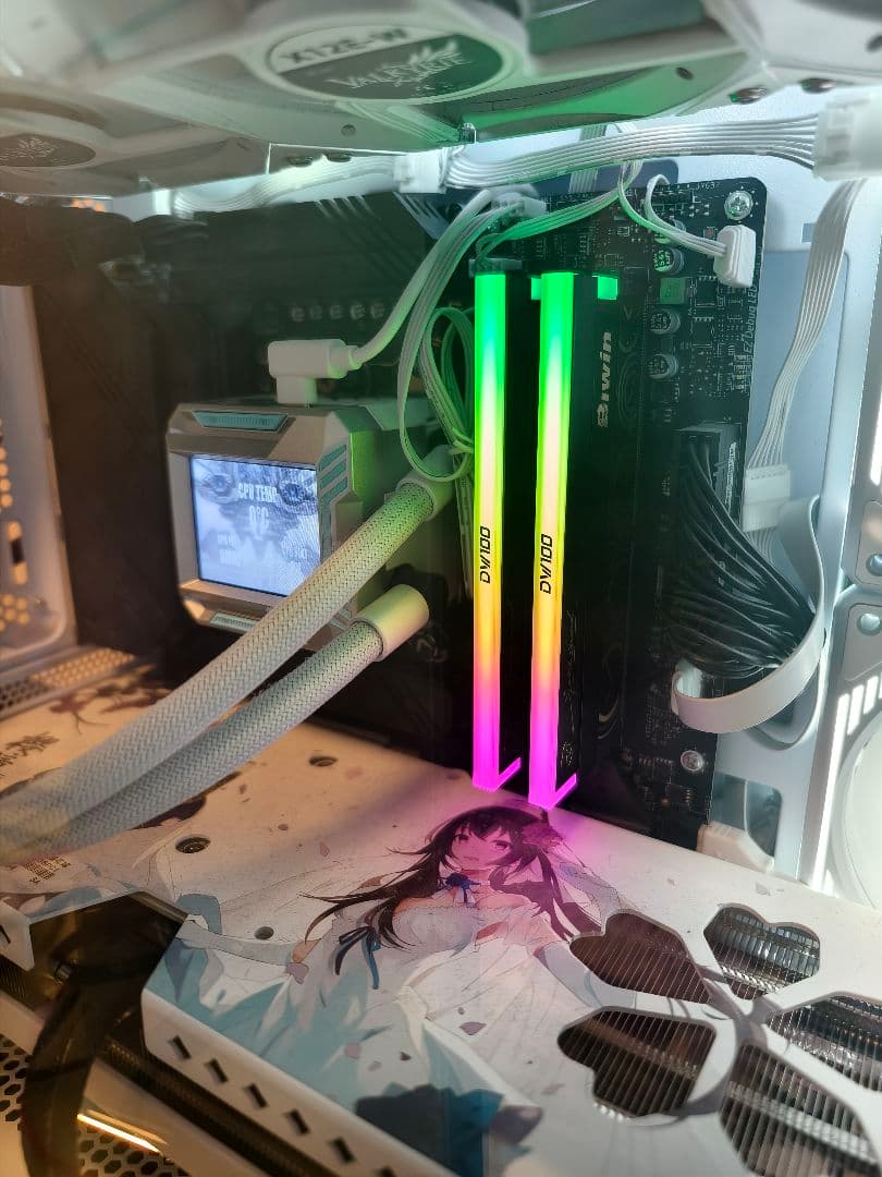 メモリー Biwin DW100 DDR5 6000MHz CL28 96GB