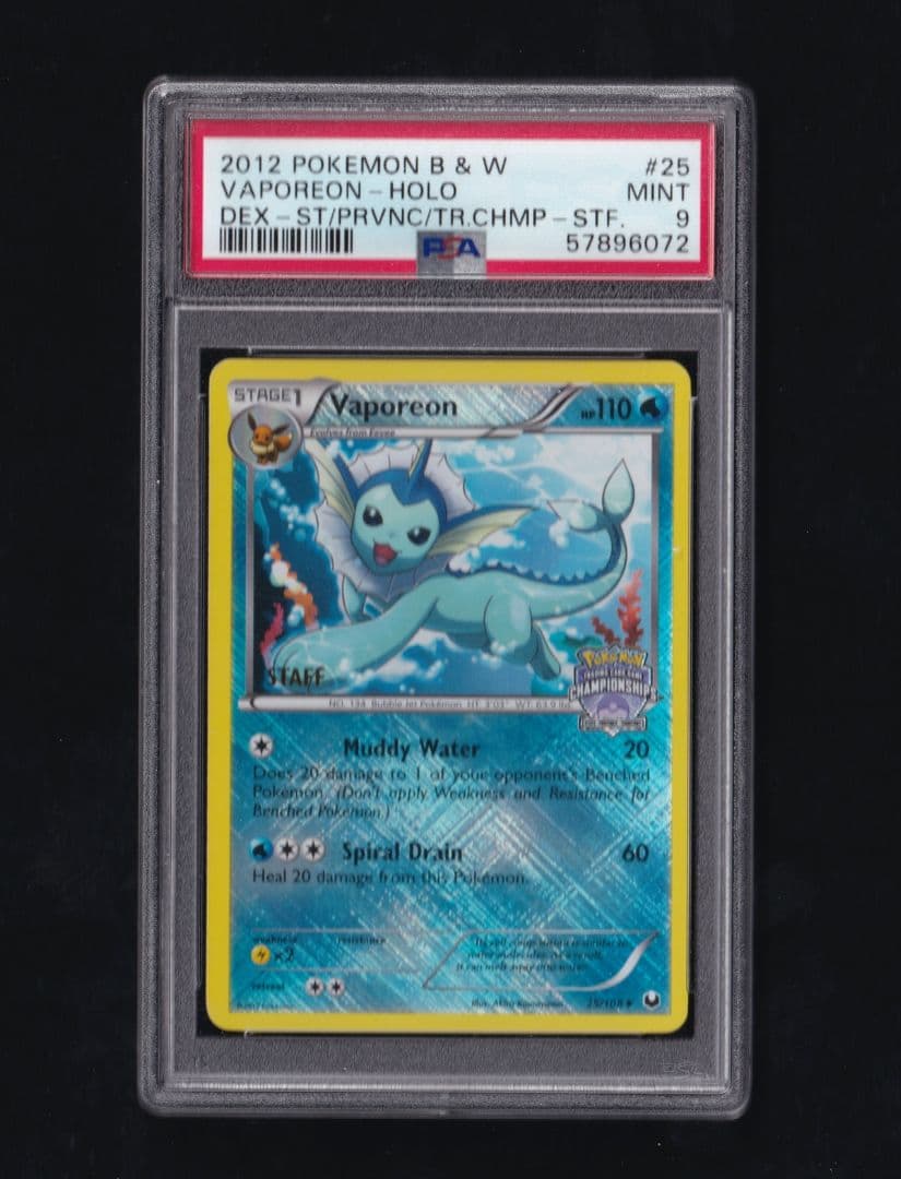 英版シャワーズ チャンピオンシップSTAFFプロモ - PSA MINT9