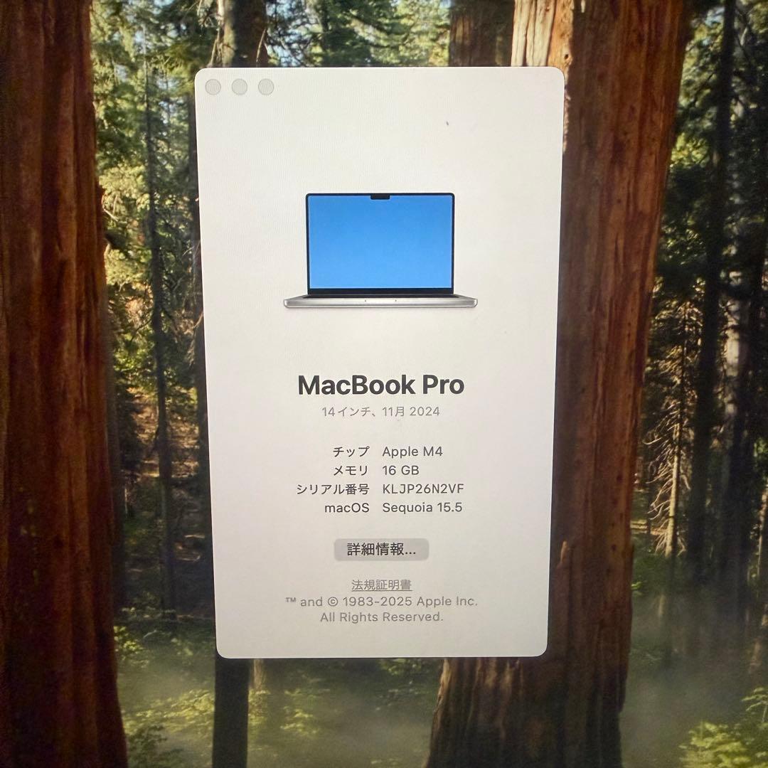 MacBook Pro M4 シルバー 本体 箱、充電器付き