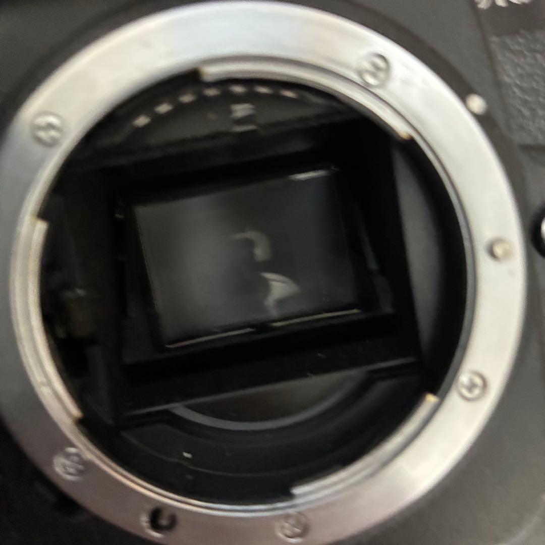 Nikon デジタル一眼レフカメラ AF-S NIKKOR 18-200mm