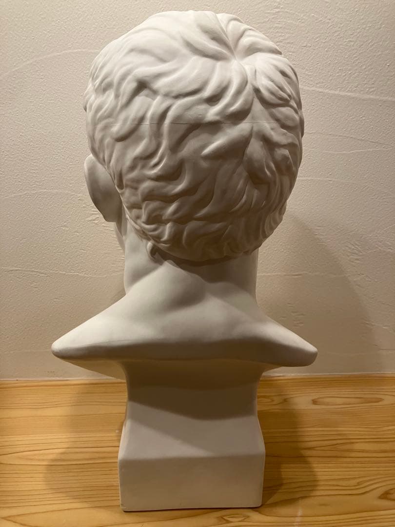 石膏像 アグリッパ デッサン用