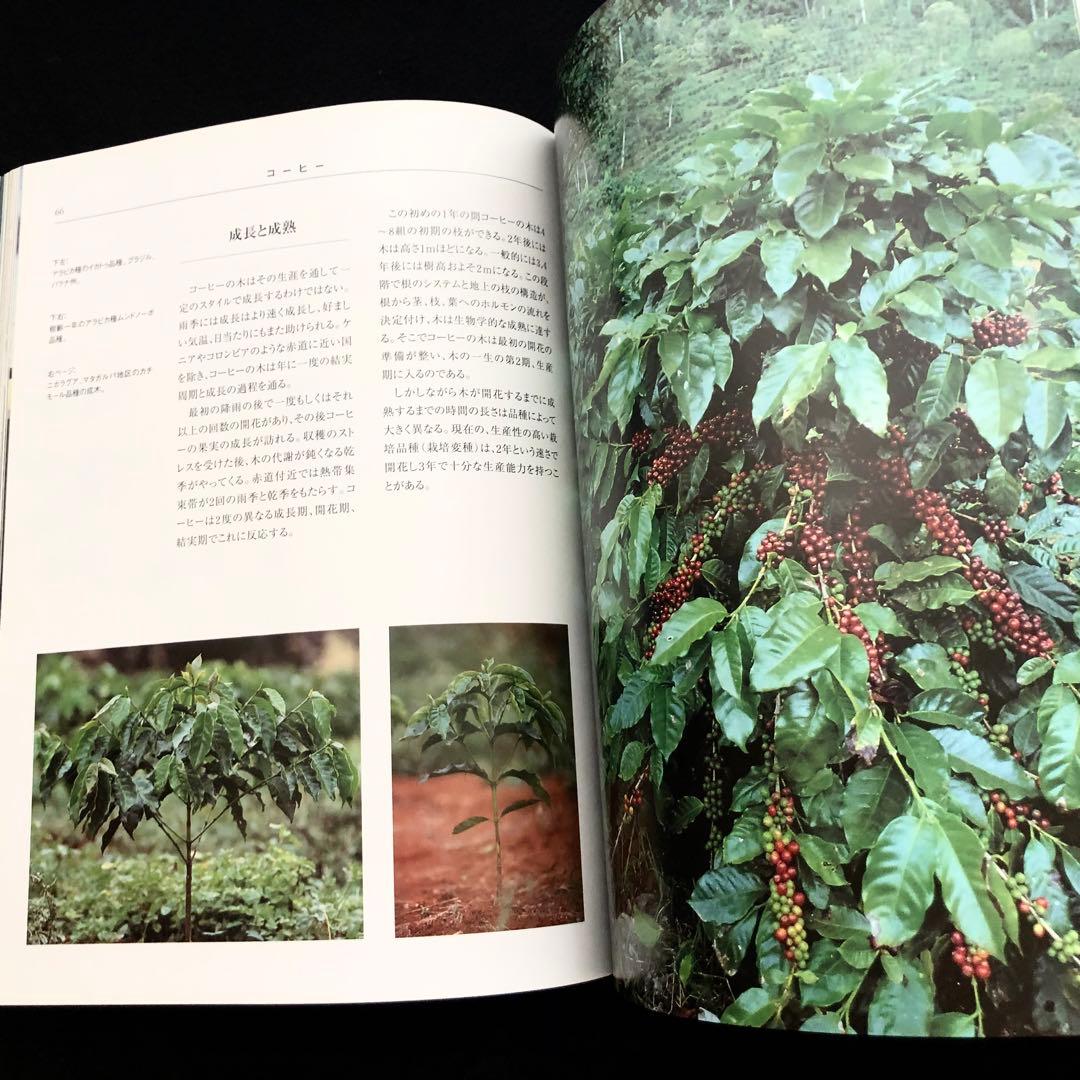 コーヒー専門書「Coffee : 多様性の祝祭」日本スペシャリティコーヒー協会