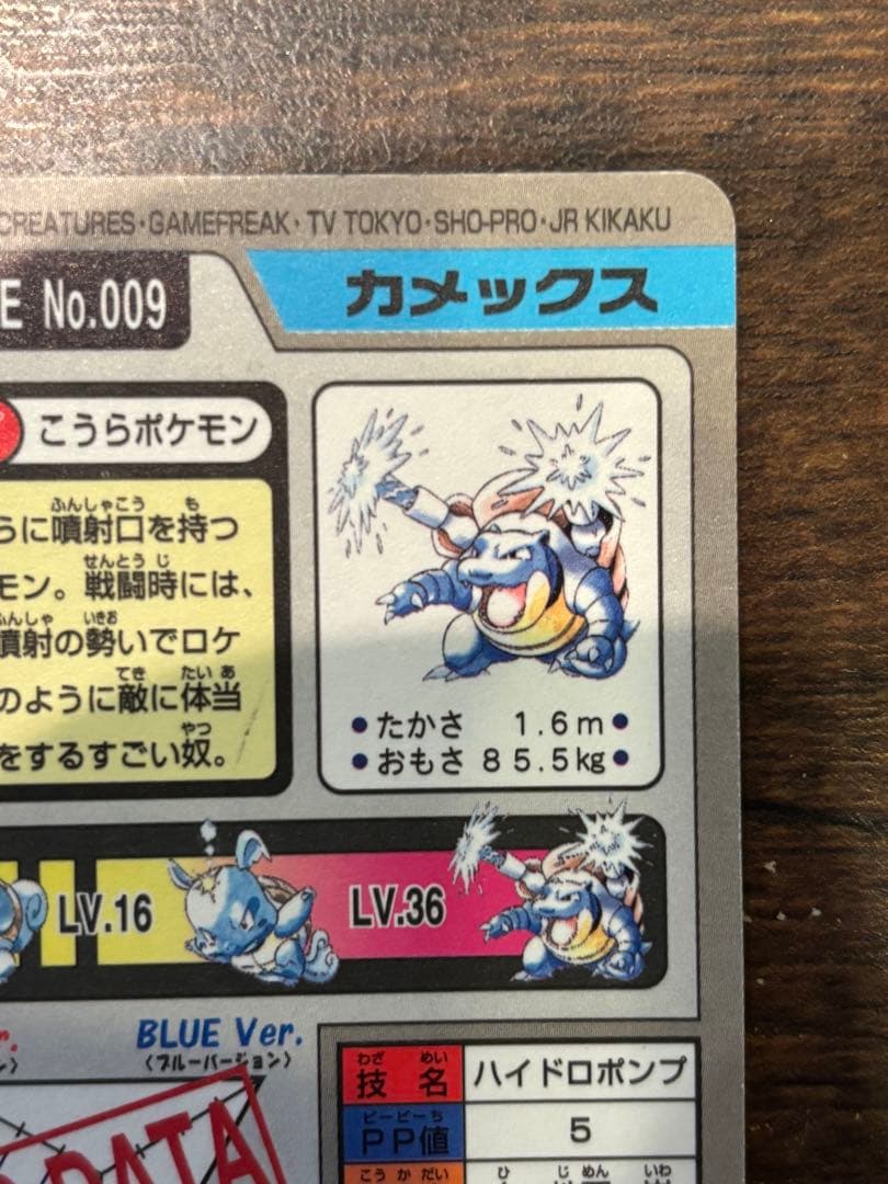 ポケモン　カードダス　カメックス