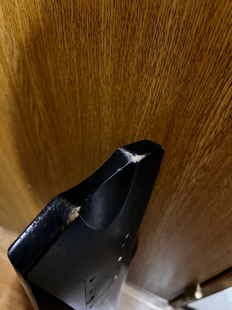 FESN 鴉　bomb solid skates デッキ　クルーザー　スケボー