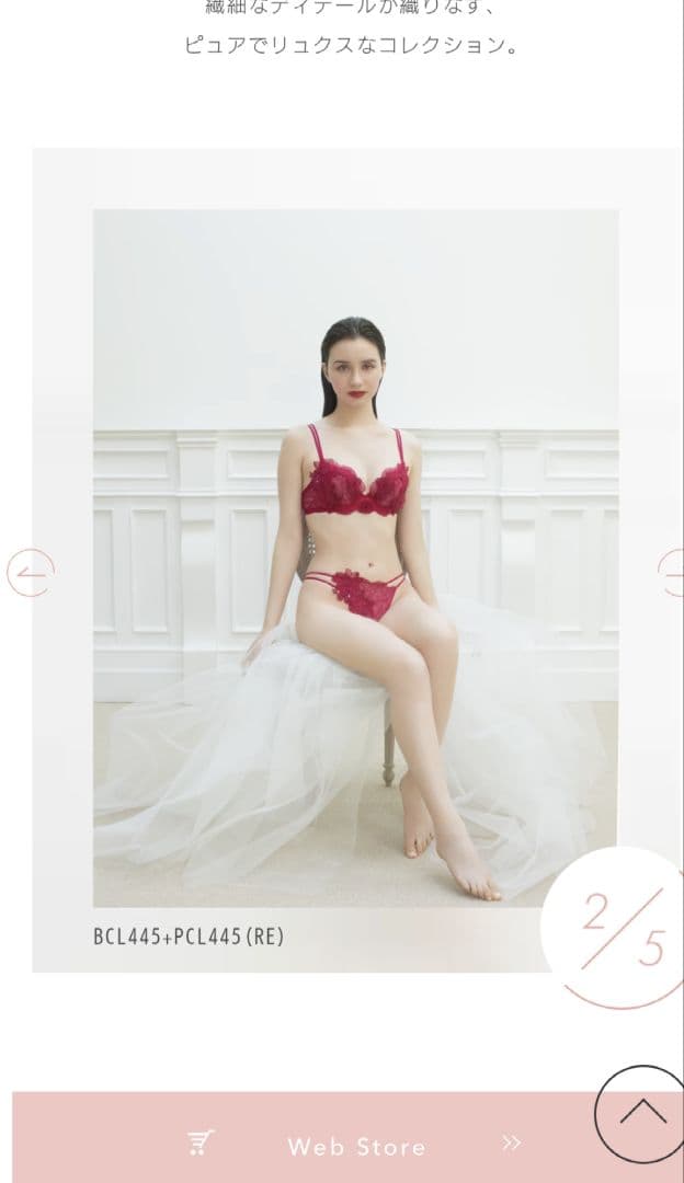 新品タグ付☆ワコール＊PARFAGE パーソナルフィットプラスブラ F65