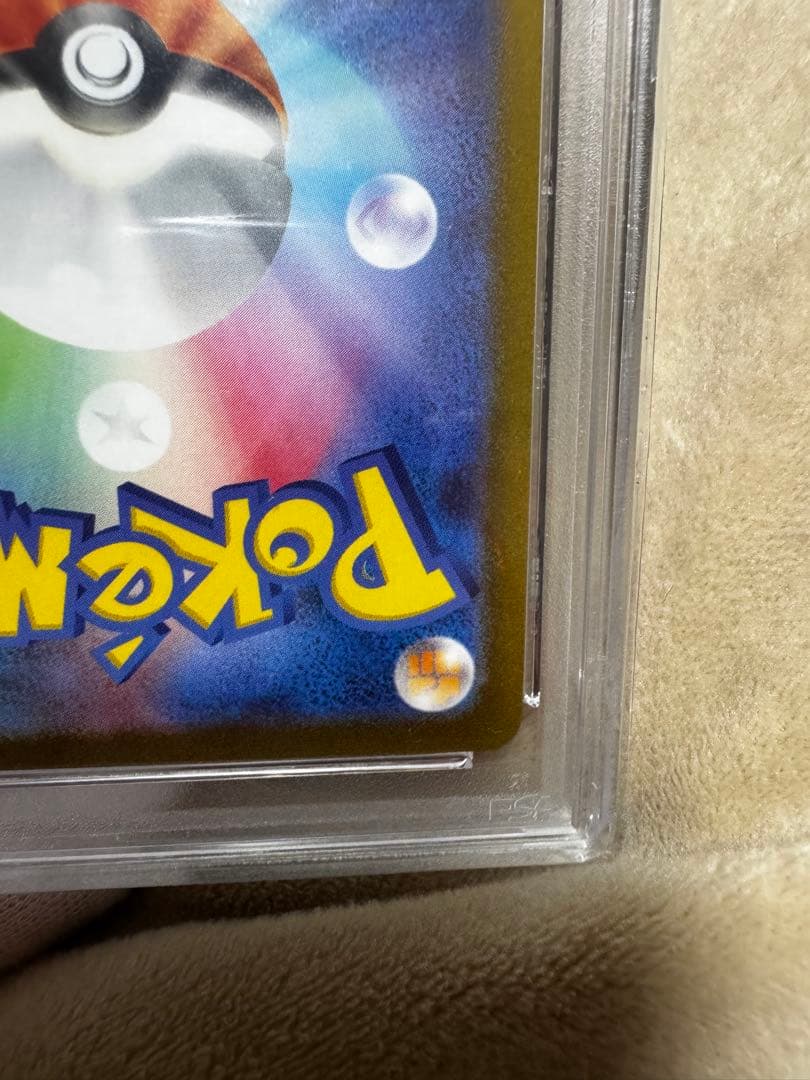 2023年 グレイシア YU NAGABA X PCG CAMPAIGN