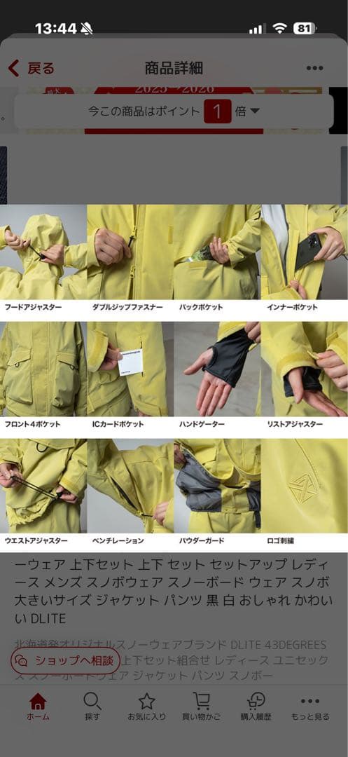 スノーボードウェア 上下セット レディース メンズ スノボウェア DLITE