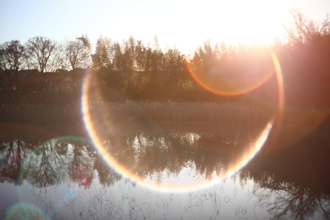 ペ*ン様 整備済 PENTAX Super Takumar 55mm f1.8