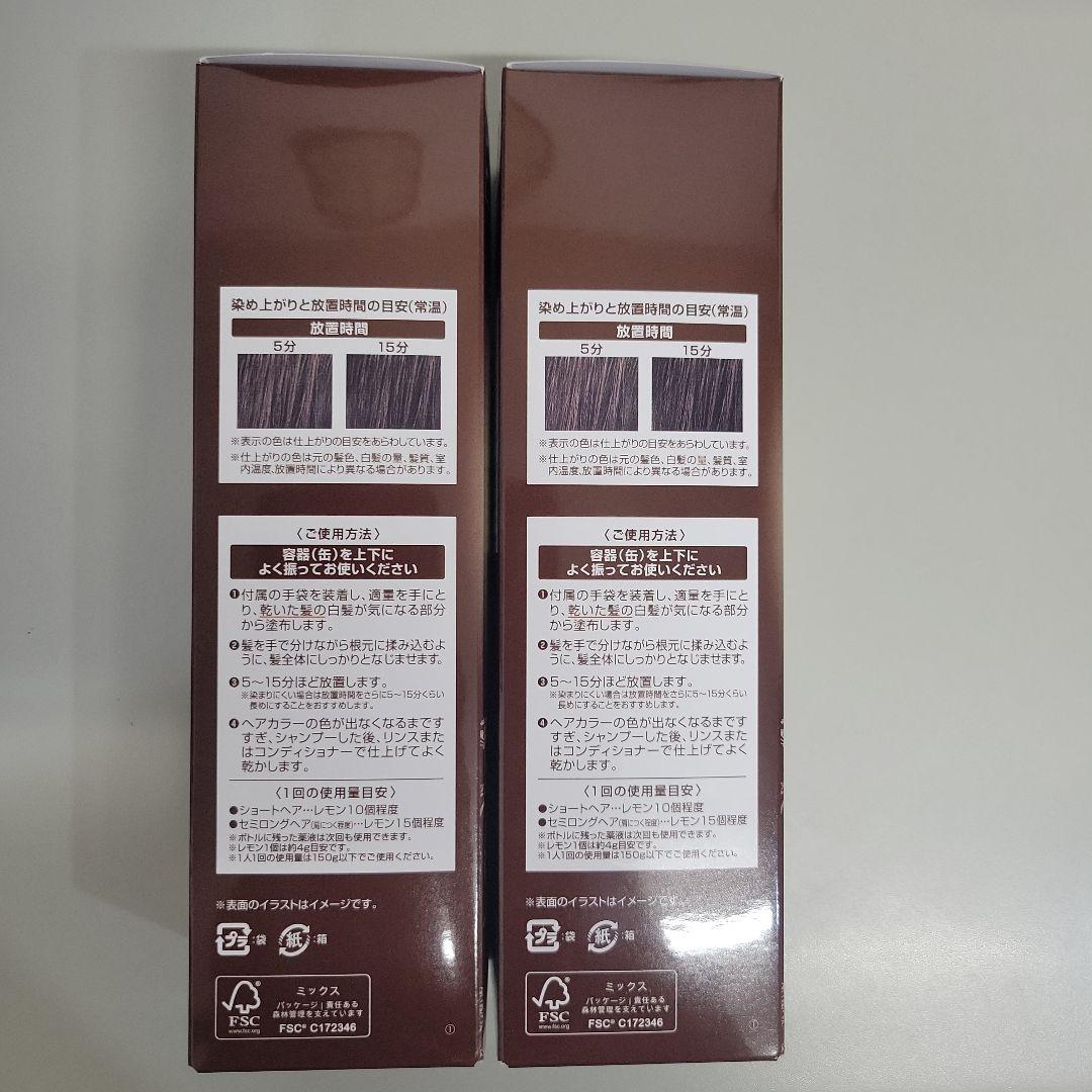 ヘアボーテエクラ ボタニカルエアカラーフォーム ダークブラウン 2本セット