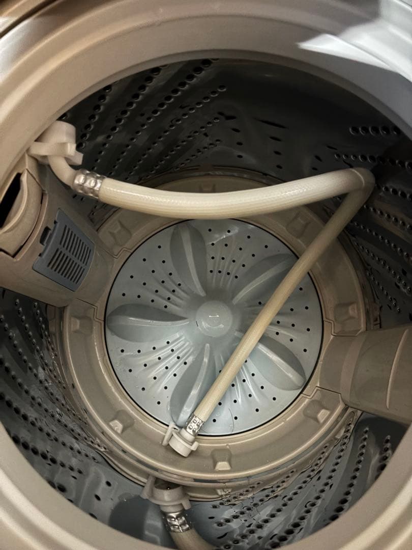 ハイセンス 洗濯機 5.5kg HW-G55EK 2021年製