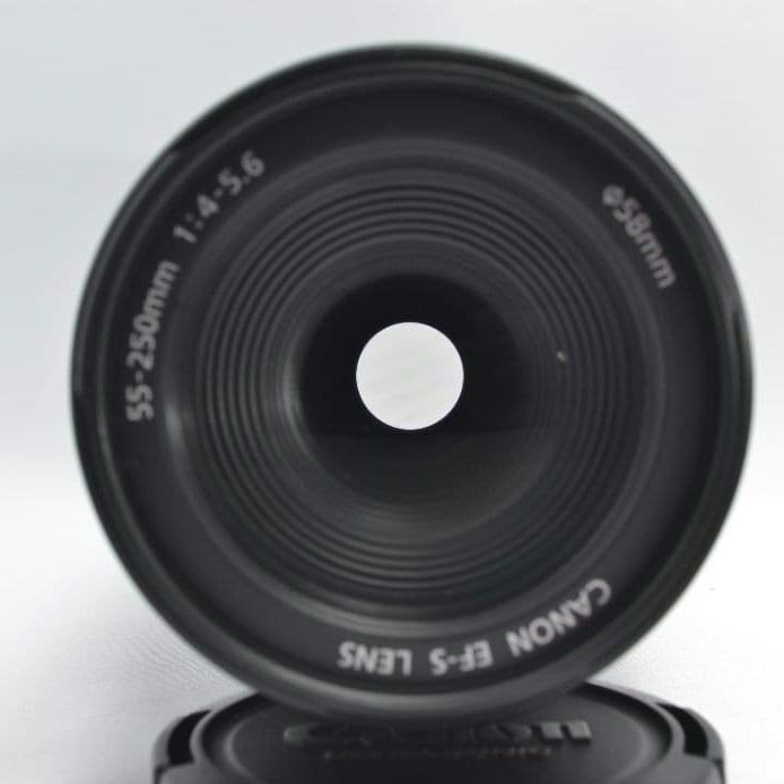 Canon EF-S 55-250mm 1:4-5.6 IS☆お手軽望遠レンズ♪