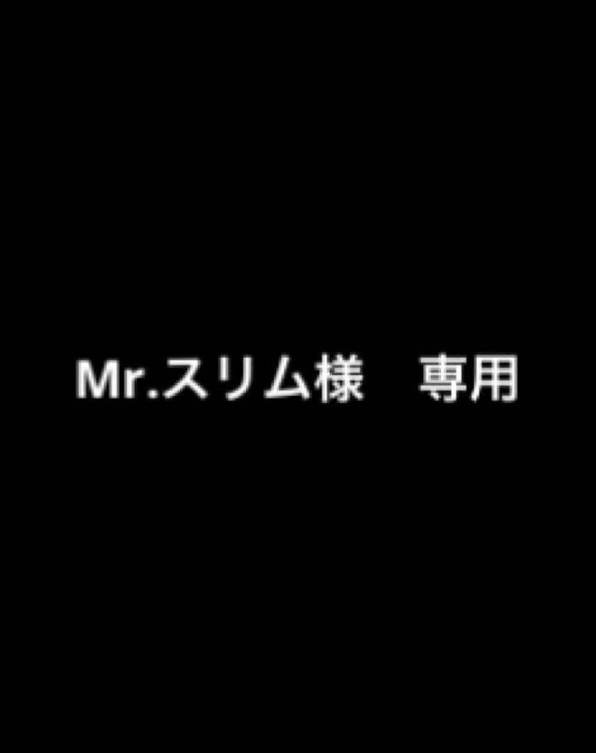 Mr.スリム