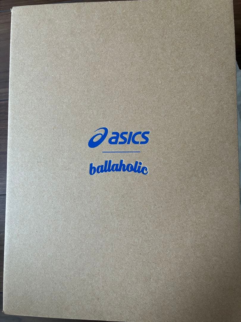 ボーラホリック × アシックス ノヴァ サージ 希少サイズ25.0
