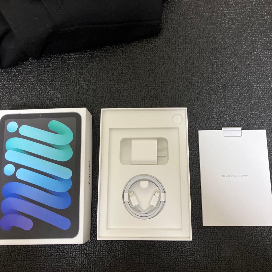 iPad 本体 mini 第7世代 256GB