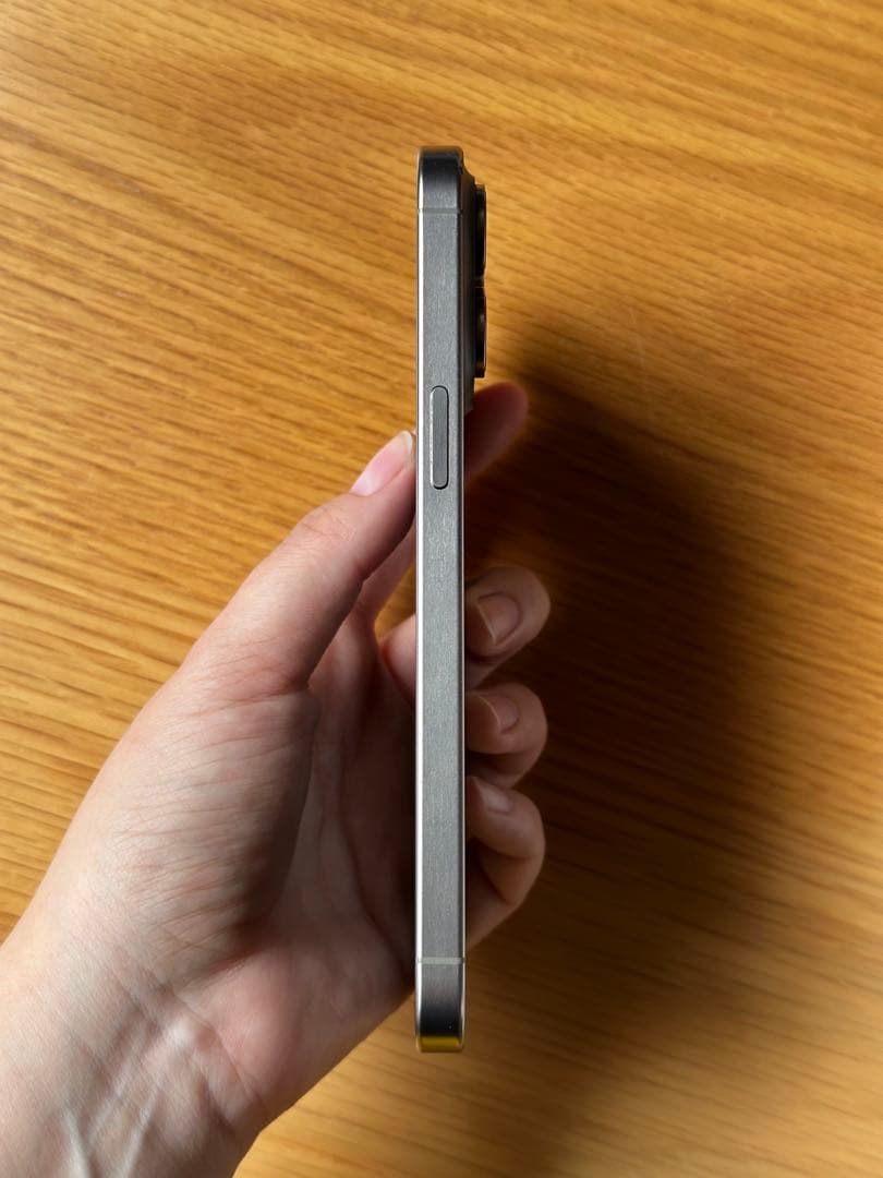 [山口さん専用]Apple iPhone 15 Pro Max 256GB 本体