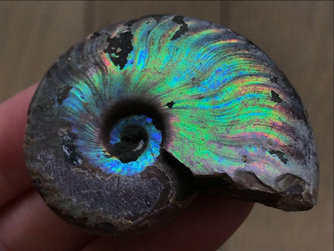 chomsky.Ramone様 リクエスト 4点 まとめ商品